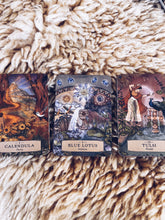 Load image into Gallery viewer, Herbal Astrology Oracle ~ PREORDER Homegrown Botanica