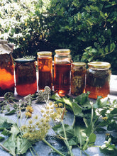 Load image into Gallery viewer, Foraged Flavours : From Wild Greens to Plate Homegrown Botanica