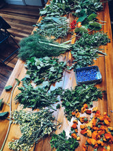 Load image into Gallery viewer, Foraged Flavours: Create a Wild Feast by the Sea Homegrown Botanica