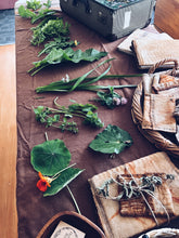 Load image into Gallery viewer, Kapiti Urban Foraging Workshops - Homegrown Botanica