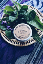 Load image into Gallery viewer, Violet & Plantain Hand Balm Homegrown Botanica