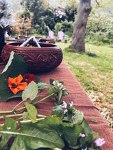 Load image into Gallery viewer, Foraged Flavours : From Wild Greens to Plate Homegrown Botanica