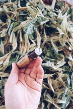 Load image into Gallery viewer, Sensual Rose Oil ~ Scented roller Homegrown Botanica