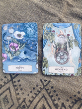 Load image into Gallery viewer, Herbal Astrology Oracle ~ PREORDER Homegrown Botanica