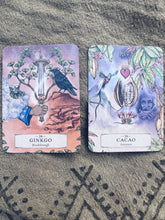 Load image into Gallery viewer, Herbal Astrology Oracle ~ PREORDER Homegrown Botanica