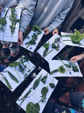 Load image into Gallery viewer, Kids Foraging Experience ~ Private Group Homegrown Botanica
