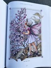 Load image into Gallery viewer, PREORDER ~ The Complete Book of Flower Fairies ~ Cicely Mary Barker