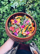 Load image into Gallery viewer, Foraged Flavours : From Wild Greens to Plate Homegrown Botanica