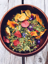 Load image into Gallery viewer, Kapiti Urban Foraging Workshops - Homegrown Botanica