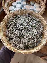 Load image into Gallery viewer, Kanuka Facial Oil ~ Sensitive / Combination skin - Homegrown Botanica