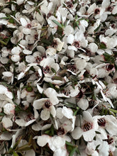 Load image into Gallery viewer, Kanuka Facial Oil ~ Sensitive / Combination skin - Homegrown Botanica