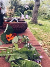 Load image into Gallery viewer, Kapiti Urban Foraging Workshops - Homegrown Botanica