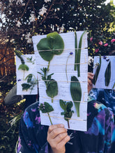 Load image into Gallery viewer, Kids Foraging Experience ~ Private Group Homegrown Botanica