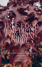 Load image into Gallery viewer, 5 x Books Bundle : Foraging + Herbalism