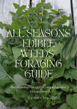 Load image into Gallery viewer, All Seasons Edible Weeds Foraging Guidebook Homegrown Botanica
