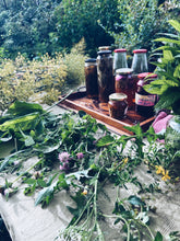 Load image into Gallery viewer, Wellington Foraging Workshops - Homegrown Botanica