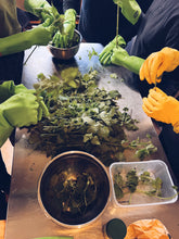 Load image into Gallery viewer, Foraged Flavours: Create a Wild Feast by the Sea Homegrown Botanica