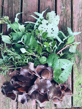 Load image into Gallery viewer, Kapiti Urban Foraging Workshops - Homegrown Botanica