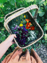 Load image into Gallery viewer, Kapiti Urban Foraging Workshops - Homegrown Botanica