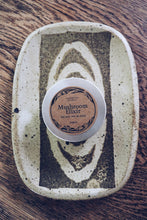 Load image into Gallery viewer, Mushroom Elixir Homegrown Botanica