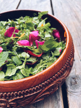 Load image into Gallery viewer, Kapiti Urban Foraging Workshops - Homegrown Botanica