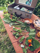 Load image into Gallery viewer, Kapiti Urban Foraging Workshops - Homegrown Botanica