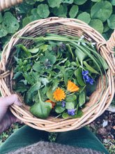 Load image into Gallery viewer, Wellington Foraging Workshops - Homegrown Botanica