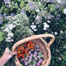 Load image into Gallery viewer, Kapiti Urban Foraging Workshops - Homegrown Botanica