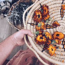 Load image into Gallery viewer, Foraging for Wild Edible Plants ~ Online Video Foraging Course - Homegrown Botanica