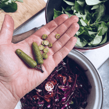 Load image into Gallery viewer, Foraging for Wild Edible Plants ~ Online Video Foraging Course - Homegrown Botanica