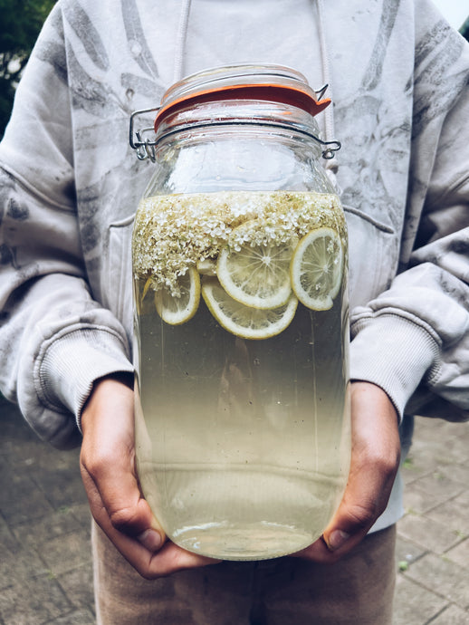 Elderflower Champagne / Brew recipe