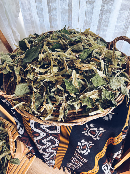 Grassroots Herbalism ~ where it all begun for me