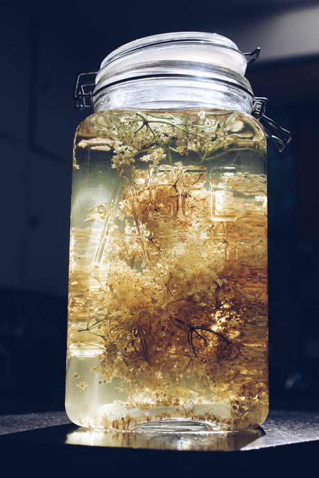 Elderflower Cordial Recipe