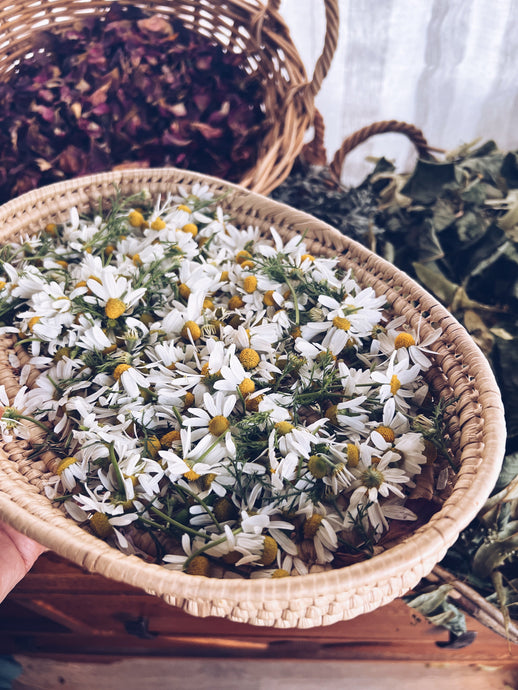 Chamomile