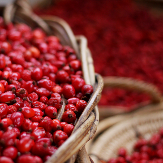 Wild Rosehips