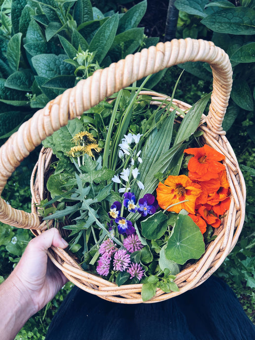 Gathering a Wild Salad