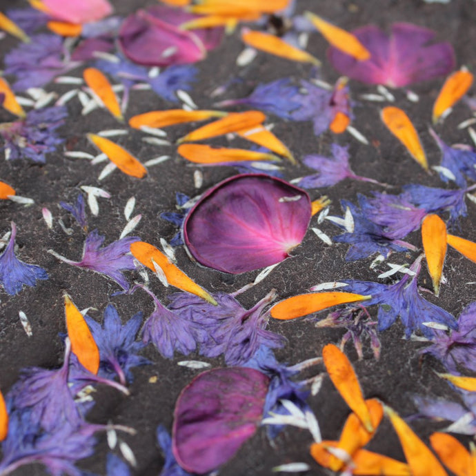 Nettle & Rose Chocolate with Edible Flowers