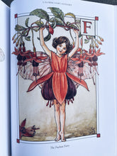 Load image into Gallery viewer, PREORDER ~ The Complete Book of Flower Fairies ~ Cicely Mary Barker
