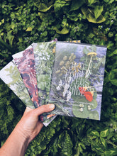 Load image into Gallery viewer, 4 x Foraging Guides Bundle: Edible Weeds + Trees Homegrown Botanica
