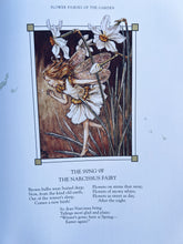 Load image into Gallery viewer, PREORDER ~ The Complete Book of Flower Fairies ~ Cicely Mary Barker

