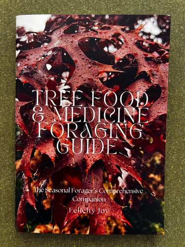 4 x Foraging Guides Bundle: Edible Weeds + Trees Homegrown Botanica