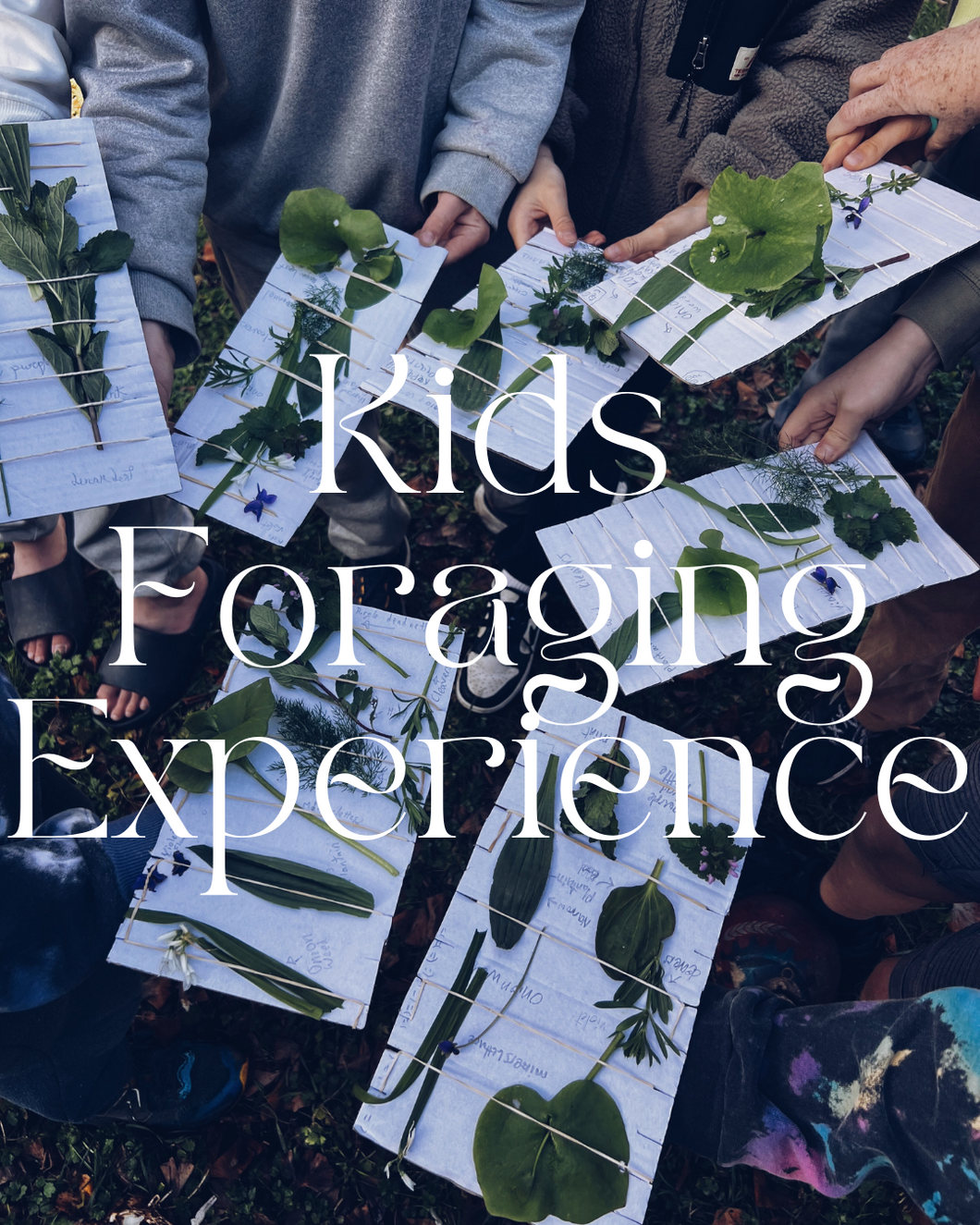 Kids Foraging Experience ~ Private Group