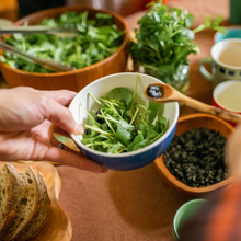 Load image into Gallery viewer, Foraged Flavours : From Wild Greens to Plate
