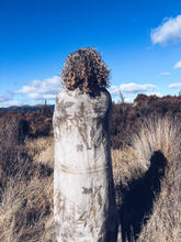 Load image into Gallery viewer, NZ Wool Blanket ~ Single ~ Liquid Amber, Japanese Knotweed, Eucalyptus
