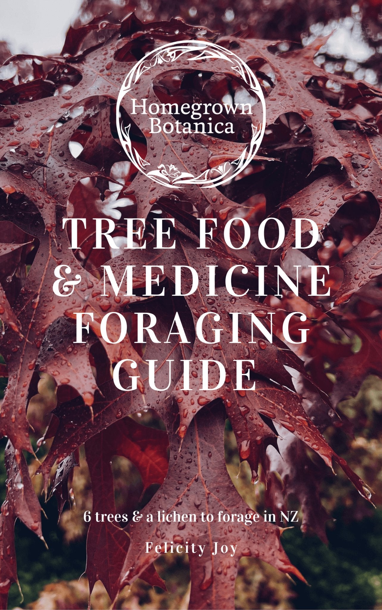 4 x Foraging Guides Bundle ~ Edible Weeds + Trees – Wild Botanica