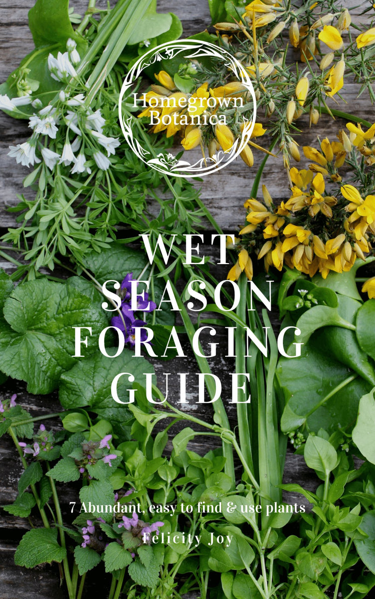 4 x Foraging Guides Bundle ~ Edible Weeds + Trees – Wild Botanica