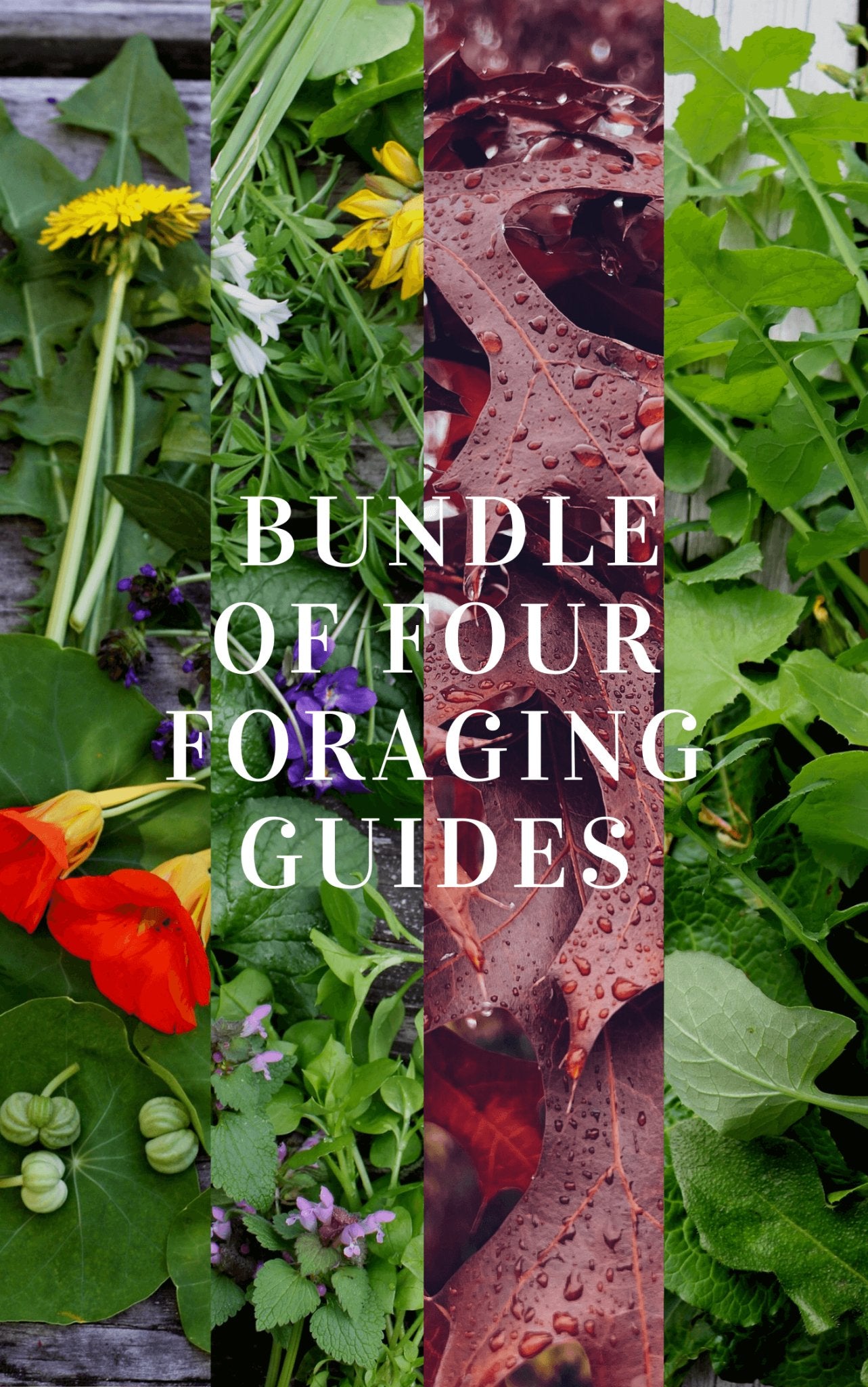 4 x Foraging Guides Bundle ~ Edible Weeds + Trees – Wild Botanica