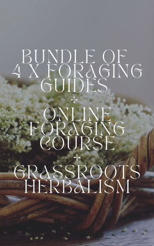 Foraging Guides x 4 + Online Foraging Course + Grassroots Herbalism Bundle Wild Botanica