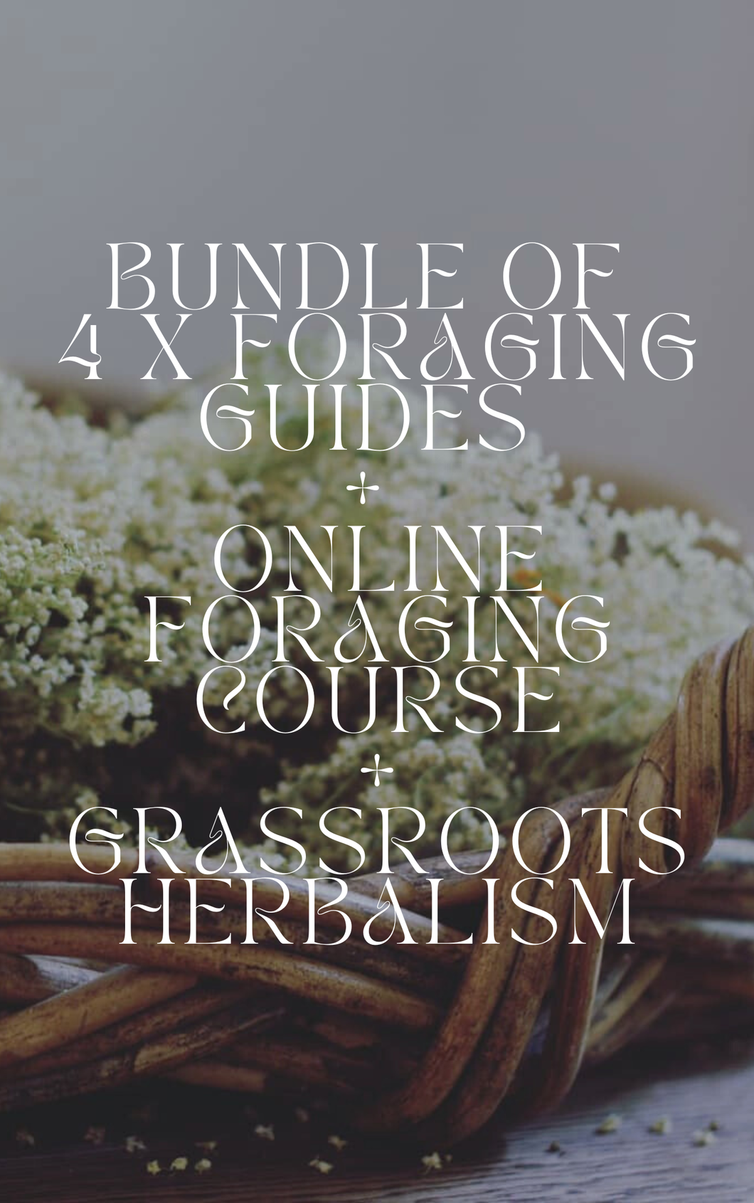 Foraging Guides x 4 + Online Foraging Course + Grassroots Herbalism Bundle Wild Botanica