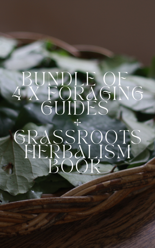 5 X Books Bundle : Foraging + Herbalism Wild Botanica